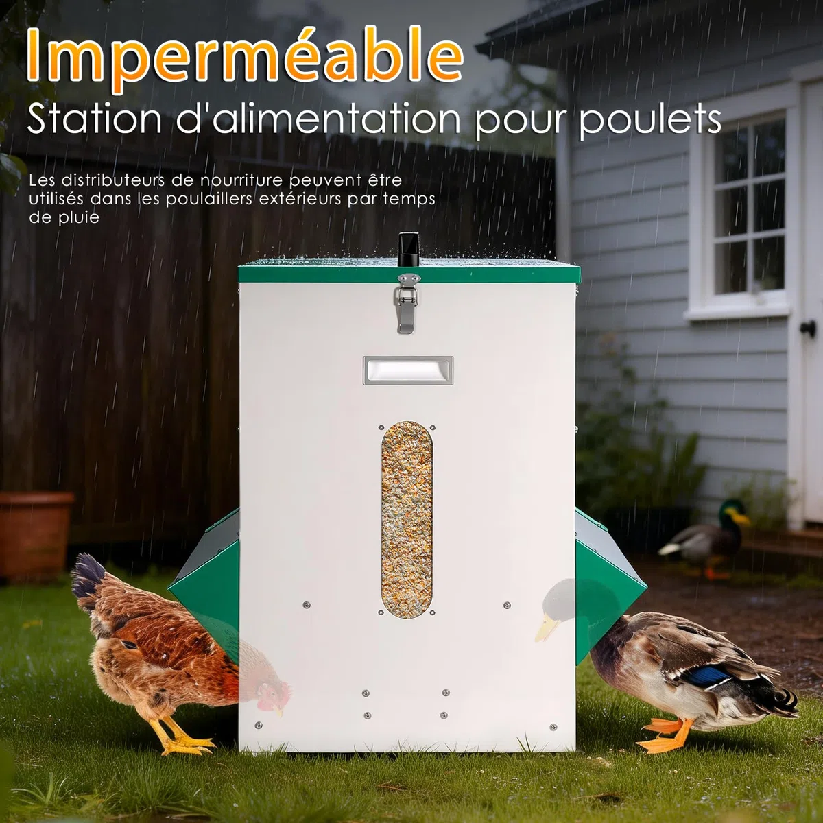 Mangeoire automatique pour poules - Distribution de nourriture pour poulets - Grande capacité - Stable - Résistant à la pluie - Pour l'extérieur - Facilite le travail