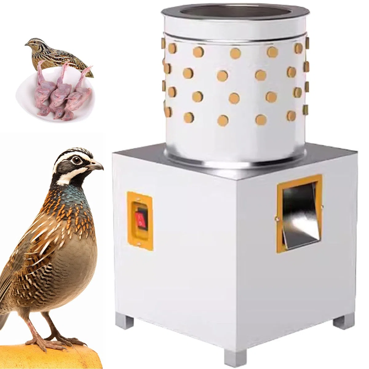 Plumeuse de Poulet Commerciale, Plumeuse À Cailles, Machine À Plumer Électrique, Automatique À Volailles Plumeuse À Petits Oiseaux Machines À Plumer Acier Inoxydable