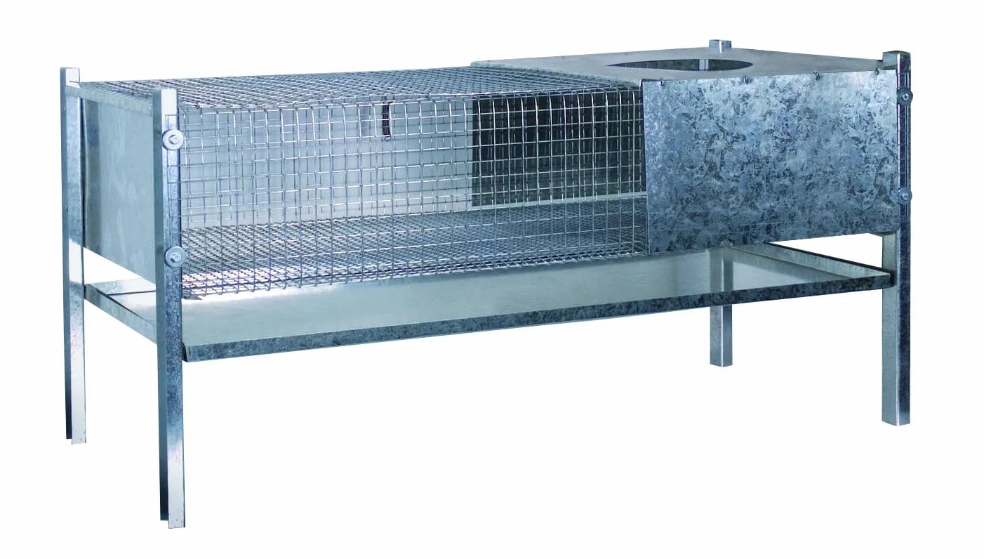 Horizont 38531100 Boîte d'élevage en Forme de Poussins et de cailles, 100 x 60 x 50 cm